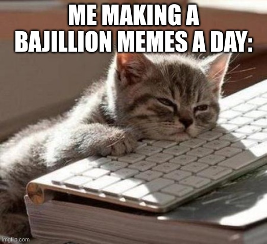 lol |  ME MAKING A BAJILLION MEMES A DAY: | image tagged in tired cat,imgflip | made w/ Imgflip meme maker