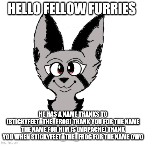 Thank you (stickeyfeat_the_frog) for the name!!!! | HELLO FELLOW FURRIES; HE HAS A NAME THANKS TO (STICKYFEET_THE_FROG) THANK YOU FOR THE NAME THE NAME FOR HIM IS (MAPACHE) THANK YOU WHEN STICKYFEET_THE_FROG FOR THE NAME OWO | image tagged in art bye void_the_furry,furry | made w/ Imgflip meme maker