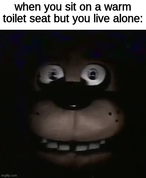 freddy | when you sit on a warm toilet seat but you live alone: | image tagged in freddy | made w/ Imgflip meme maker