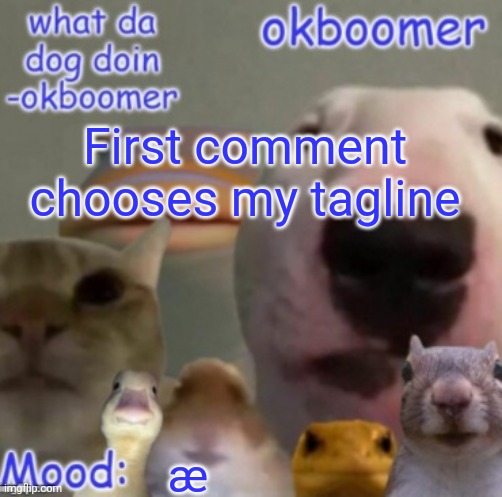 Okboomer template v4 (credit to yeetrex) | First comment chooses my tagline; æ | image tagged in okboomer template v4 credit to yeetrex | made w/ Imgflip meme maker