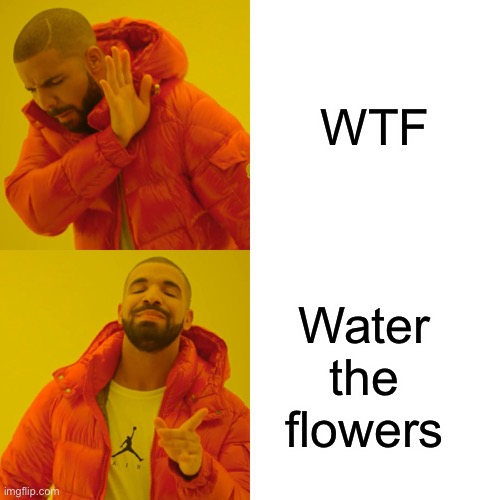 I don’t know what to put here | WTF; Water the flowers | image tagged in memes,drake hotline bling | made w/ Imgflip meme maker