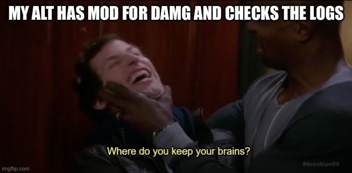 Where do you keep your brains? | MY ALT HAS MOD FOR DAMG AND CHECKS THE LOGS | image tagged in where do you keep your brains | made w/ Imgflip meme maker