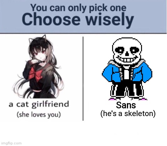 Choose wisely |  Sans; (he's a skeleton) | image tagged in choose wisely | made w/ Imgflip meme maker