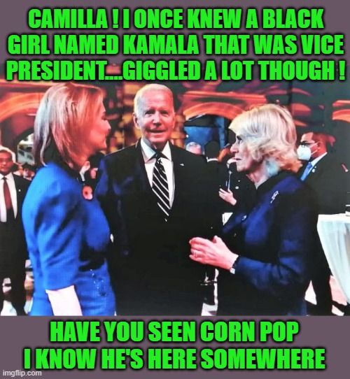 Yep | CAMILLA ! I ONCE KNEW A BLACK GIRL NAMED KAMALA THAT WAS VICE PRESIDENT....GIGGLED A LOT THOUGH ! HAVE YOU SEEN CORN POP I KNOW HE'S HERE SOMEWHERE | image tagged in democrats | made w/ Imgflip meme maker