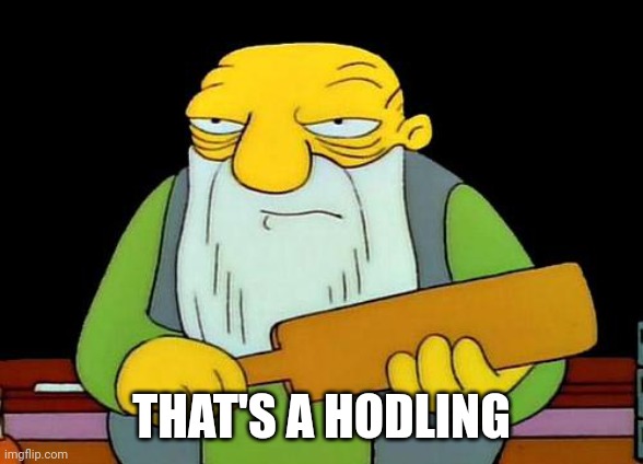 That's a paddlin' Meme | THAT'S A HODLING | image tagged in memes,that's a paddlin' | made w/ Imgflip meme maker