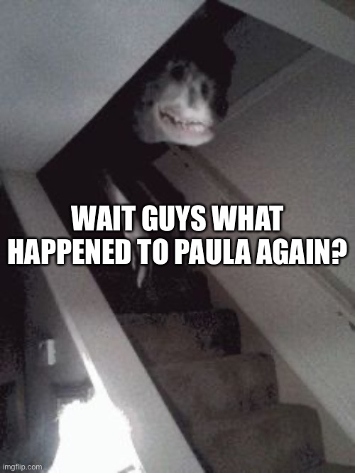 He left right? | WAIT GUYS WHAT HAPPENED TO PAULA AGAIN? | made w/ Imgflip meme maker