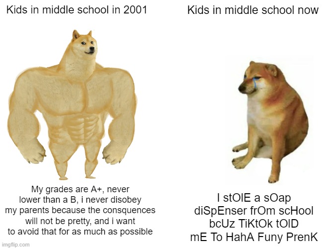 Buff Doge vs. Cheems Meme | Kids in middle school in 2001; Kids in middle school now; My grades are A+, never lower than a B, i never disobey my parents because the consquences will not be pretty, and i want to avoid that for as much as possible; I stOlE a sOap diSpEnser frOm scHool bcUz TiKtOk tOlD mE To HahA Funy PrenK | image tagged in memes,buff doge vs cheems | made w/ Imgflip meme maker