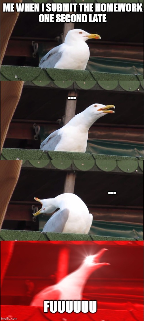 . | ME WHEN I SUBMIT THE HOMEWORK
ONE SECOND LATE; ... ... FUUUUUU | image tagged in memes,inhaling seagull | made w/ Imgflip meme maker