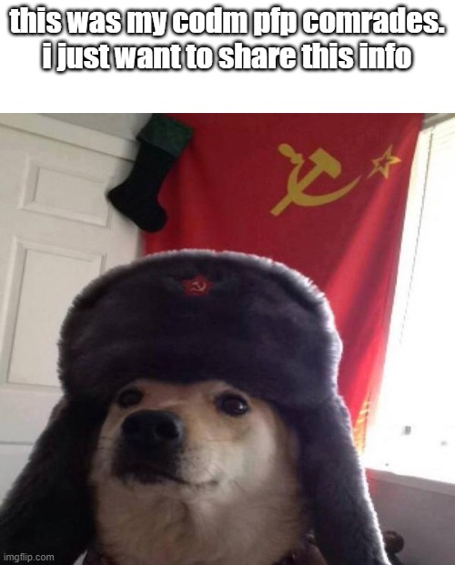 if you have codm, we require you to wear this pfp | this was my codm pfp comrades. i just want to share this info | image tagged in russian doge | made w/ Imgflip meme maker