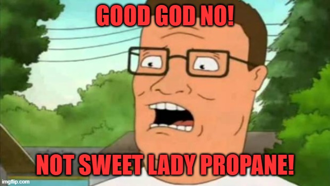 Hank hill | GOOD GOD NO! NOT SWEET LADY PROPANE! | image tagged in hank hill | made w/ Imgflip meme maker