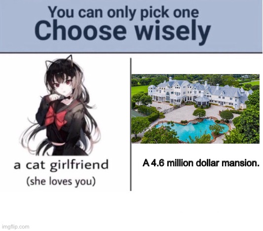 Choose wisely. |  A 4.6 million dollar mansion. | image tagged in choose wisely | made w/ Imgflip meme maker