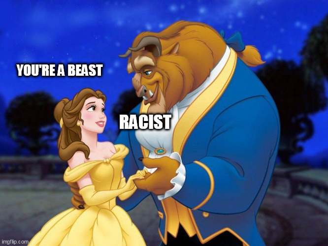 Beauty and the beast | YOU'RE A BEAST; RACIST | image tagged in beauty and the beast | made w/ Imgflip meme maker