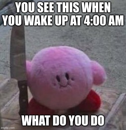 creepy kirby | YOU SEE THIS WHEN YOU WAKE UP AT 4:00 AM; WHAT DO YOU DO | image tagged in creepy kirby | made w/ Imgflip meme maker