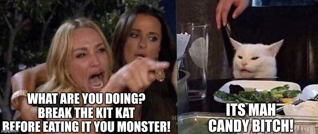 indeed | WHAT ARE YOU DOING? BREAK THE KIT KAT BEFORE EATING IT YOU MONSTER! ITS MAH CANDY BITCH! | image tagged in woman yelling at cat,halloween,kit kat,cat | made w/ Imgflip meme maker
