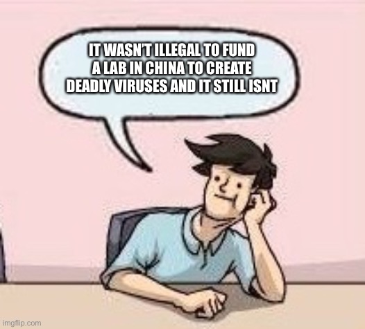 Boardroom Suggestion Guy | IT WASN’T ILLEGAL TO FUND A LAB IN CHINA TO CREATE DEADLY VIRUSES AND IT STILL ISNT | image tagged in boardroom suggestion guy | made w/ Imgflip meme maker