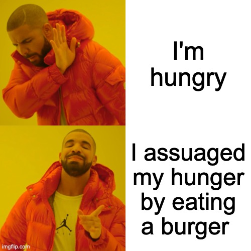 Drake Hotline Bling Meme | I'm hungry; I assuaged my hunger by eating a burger | image tagged in memes,drake hotline bling | made w/ Imgflip meme maker