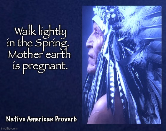 First American Wisdom | Walk lightly in the Spring.  
Mother earth 
is pregnant. Native American Proverb | image tagged in memes,native american,proverb number two,american indian,simple elegance | made w/ Imgflip meme maker