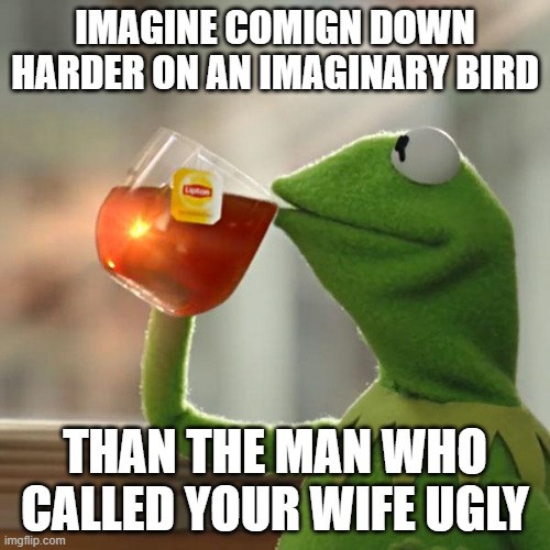 But That's None Of My Business Meme | IMAGINE COMIGN DOWN HARDER ON AN IMAGINARY BIRD; THAN THE MAN WHO CALLED YOUR WIFE UGLY | image tagged in memes,but that's none of my business,kermit the frog | made w/ Imgflip meme maker