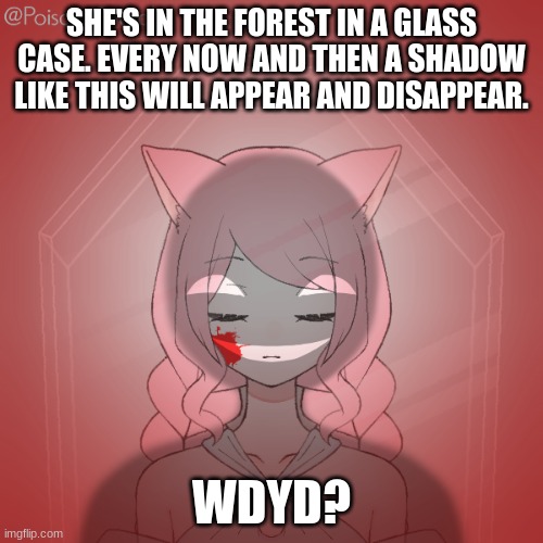 Update: 9:56 pm, listening to the Mellohi disc from MineCraft | SHE'S IN THE FOREST IN A GLASS CASE. EVERY NOW AND THEN A SHADOW LIKE THIS WILL APPEAR AND DISAPPEAR. WDYD? | image tagged in roleplay | made w/ Imgflip meme maker
