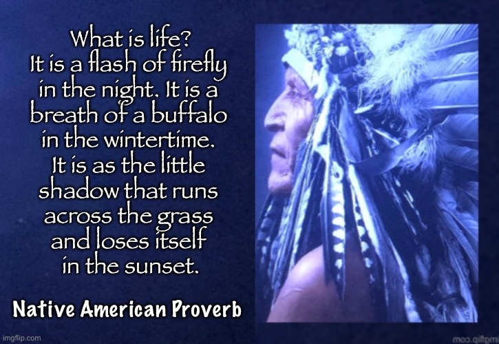 First American Wisdom - 3 | What is life?
It is a flash of firefly 
in the night. It is a 
breath of a buffalo 
in the wintertime. 
It is as the little 
shadow that runs 
across the grass 
and loses itself 
in the sunset. Native American Proverb | image tagged in memes,american indian,native american proverbs | made w/ Imgflip meme maker