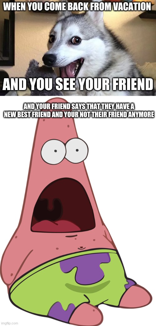 WHEN YOU COME BACK FROM VACATION; AND YOU SEE YOUR FRIEND; AND YOUR FRIEND SAYS THAT THEY HAVE A NEW BEST FRIEND AND YOUR NOT THEIR FRIEND ANYMORE | image tagged in happy doggo,surprised patrick | made w/ Imgflip meme maker