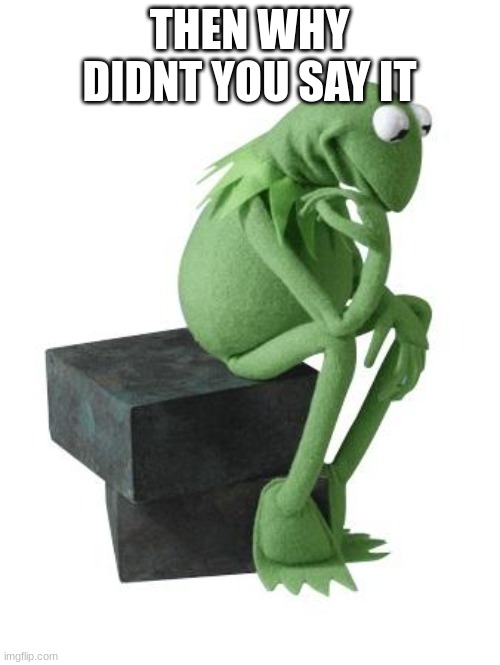 Philosophy Kermit | THEN WHY DIDNT YOU SAY IT | image tagged in philosophy kermit | made w/ Imgflip meme maker