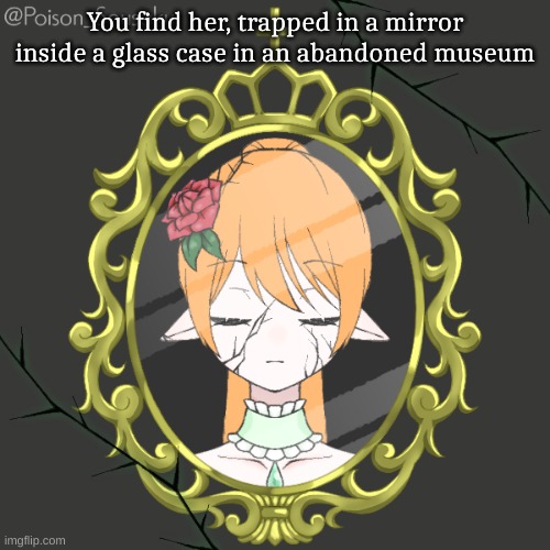 You find her, trapped in a mirror inside a glass case in an abandoned museum | made w/ Imgflip meme maker