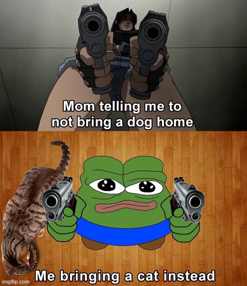 cat | made w/ Imgflip meme maker