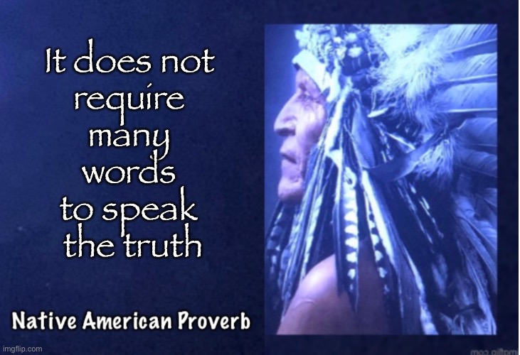 First American Wisdom - 8 | It does not 
require 
many 
words 
to speak 
the truth | image tagged in memes,native american proverbs,american indian | made w/ Imgflip meme maker