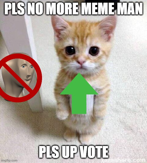Cute Cat | PLS NO MORE MEME MAN; PLS UP VOTE | image tagged in memes,cute cat | made w/ Imgflip meme maker