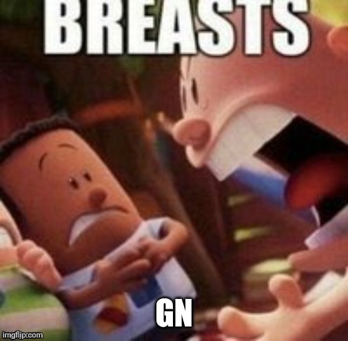 5 ups and I post this in politics when I get back at like 1 | GN | image tagged in breasts | made w/ Imgflip meme maker