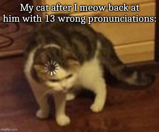 Loading cat | My cat after I meow back at him with 13 wrong pronunciations: | image tagged in loading cat | made w/ Imgflip meme maker