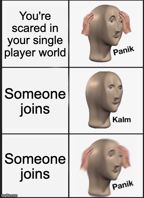 lol | You're scared in your single player world; Someone joins; Someone joins | image tagged in memes,panik kalm panik | made w/ Imgflip meme maker