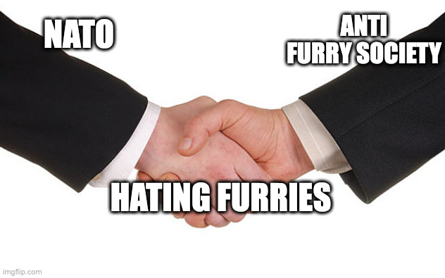 Business Handshake | NATO ANTI FURRY SOCIETY HATING FURRIES | image tagged in business handshake | made w/ Imgflip meme maker