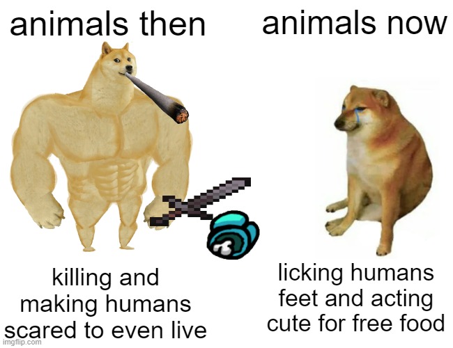 Buff Doge vs. Cheems Meme | animals then; animals now; killing and making humans scared to even live; licking humans feet and acting cute for free food | image tagged in memes,buff doge vs cheems | made w/ Imgflip meme maker