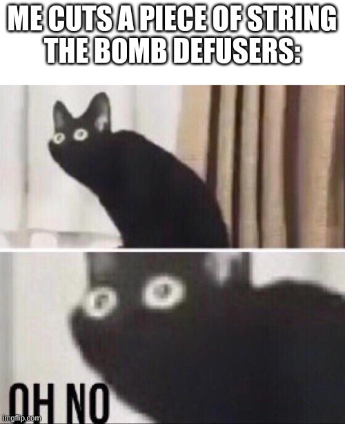 oops my bad | ME CUTS A PIECE OF STRING
THE BOMB DEFUSERS: | image tagged in oh no cat,bomb | made w/ Imgflip meme maker