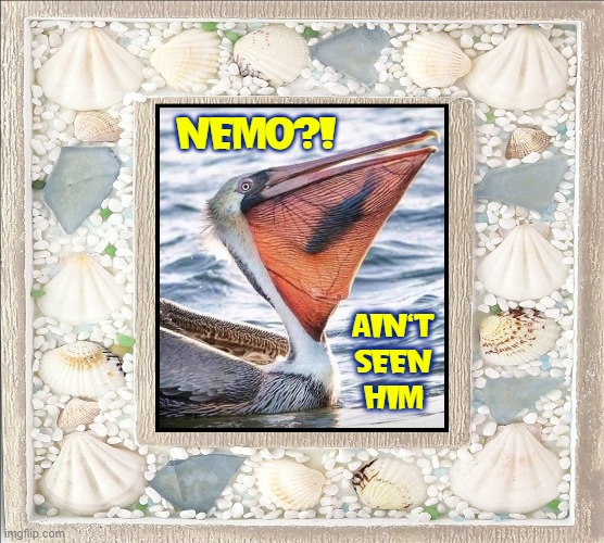 Digesting NEMO |  NEMO?! AIN'T
SEEN
HIM | image tagged in vince vance,finding nemo,pelicans,fishy,finding dory,memes | made w/ Imgflip meme maker