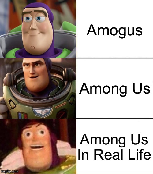 so | Amogus; Among Us; Among Us In Real Life | image tagged in better best blurst lightyear edition,irl | made w/ Imgflip meme maker