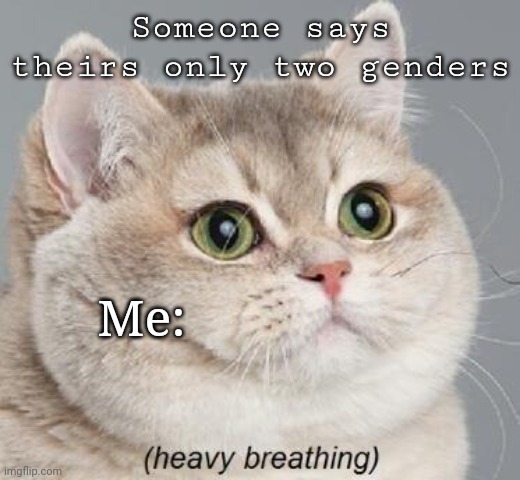 Heavy Breathing Cat Meme | Someone says theirs only two genders; Me: | image tagged in memes,heavy breathing cat | made w/ Imgflip meme maker