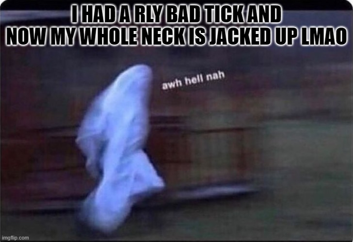 Awh hell nah | I HAD A RLY BAD TICK AND NOW MY WHOLE NECK IS JACKED UP LMAO | image tagged in awh hell nah | made w/ Imgflip meme maker