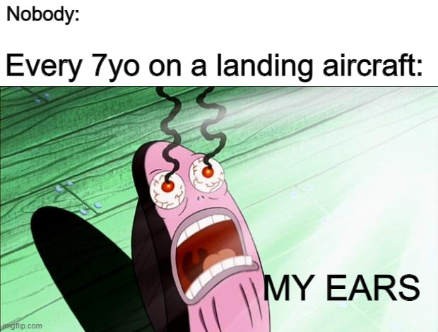 I know i know, fish dont have ears but this the closest i could find | Nobody:; Every 7yo on a landing aircraft:; MY EARS | image tagged in spongebob my eyes,memes,so true memes,i like donuts,oh wow are you actually reading these tags,amazing | made w/ Imgflip meme maker