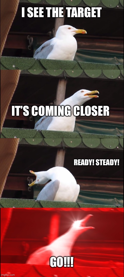 Inhaling Seagull Meme | I SEE THE TARGET; IT’S COMING CLOSER; READY! STEADY! GO!!! | image tagged in memes,inhaling seagull | made w/ Imgflip meme maker