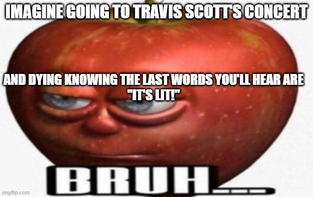 Bruh | IMAGINE GOING TO TRAVIS SCOTT'S CONCERT; AND DYING KNOWING THE LAST WORDS YOU'LL HEAR ARE
"IT'S LIT!" | image tagged in bruh | made w/ Imgflip meme maker