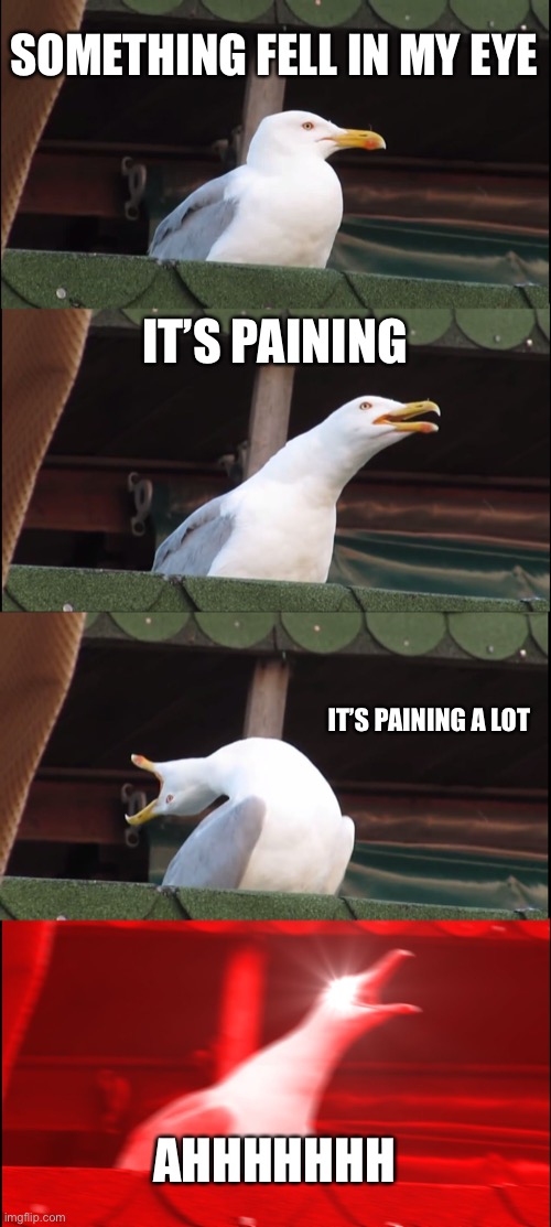 Inhaling Seagull Meme | SOMETHING FELL IN MY EYE; IT’S PAINING; IT’S PAINING A LOT; AHHHHHHH | image tagged in memes,inhaling seagull | made w/ Imgflip meme maker