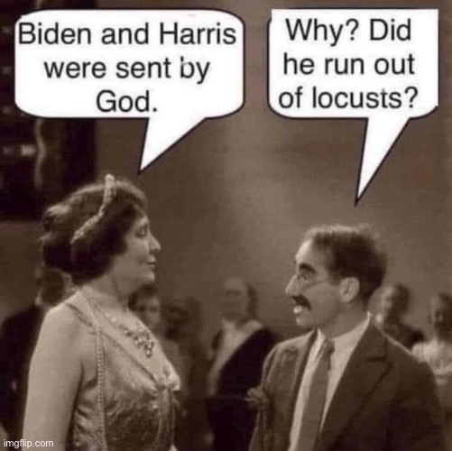 Biden | image tagged in joe biden,kamala harris,liberal logic,democrats,memes | made w/ Imgflip meme maker