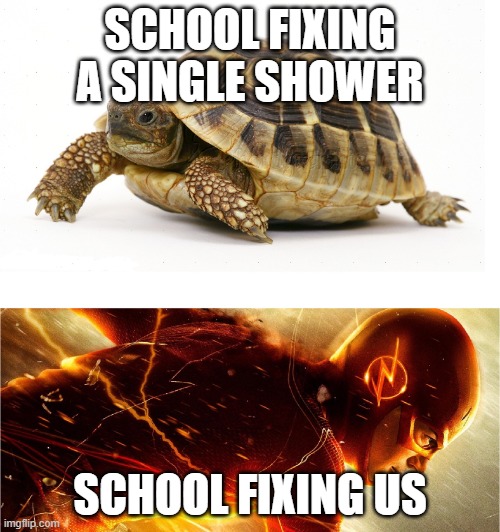 School Fixing | SCHOOL FIXING A SINGLE SHOWER; SCHOOL FIXING US | image tagged in slow vs fast meme | made w/ Imgflip meme maker