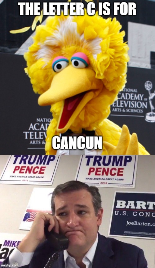 THE LETTER C IS FOR; CANCUN | image tagged in memes,big bird | made w/ Imgflip meme maker