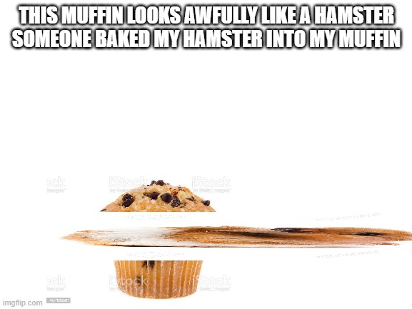 ham | THIS MUFFIN LOOKS AWFULLY LIKE A HAMSTER
SOMEONE BAKED MY HAMSTER INTO MY MUFFIN | image tagged in blank white template | made w/ Imgflip meme maker