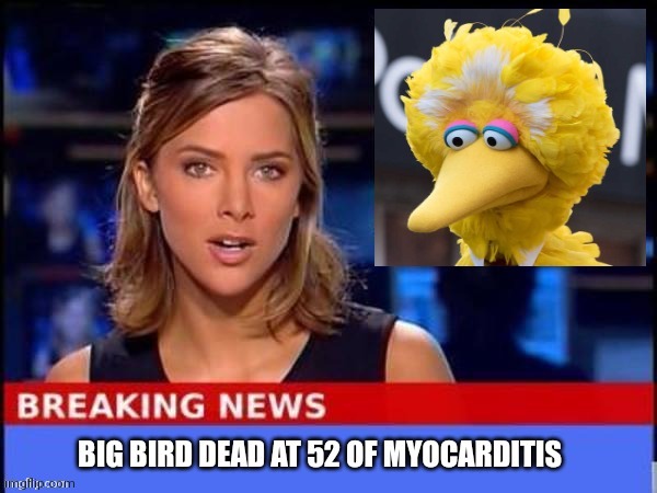 RIPBB | image tagged in big bird dead | made w/ Imgflip meme maker