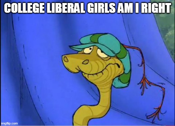 Sir Hiss Disappointment | COLLEGE LIBERAL GIRLS AM I RIGHT | image tagged in sir hiss disappointment | made w/ Imgflip meme maker